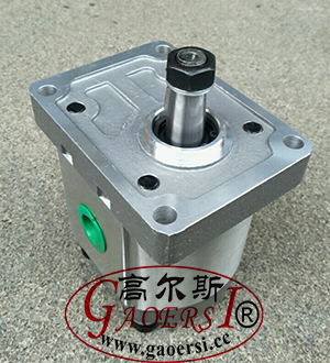 External Gear Pump, Zahnrad pumpe 